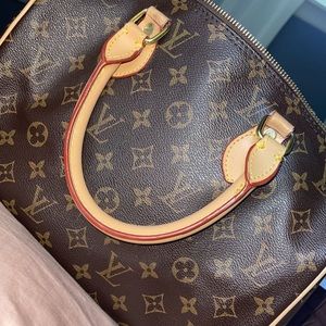 Louis Vuitton Purse